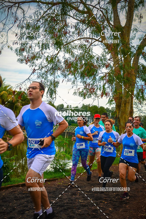 Acquista le foto dell'eventoNOVEMBRO AZUL in Fotop