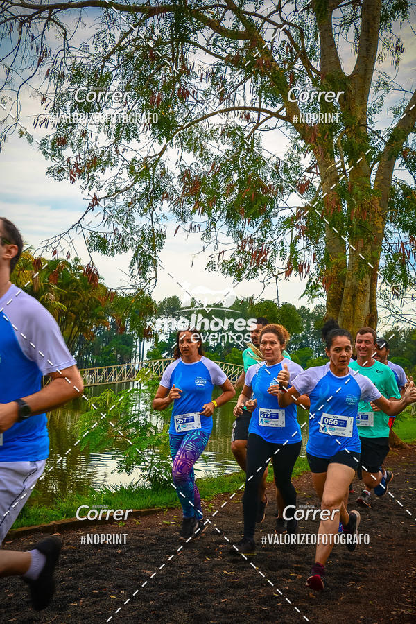 Acquista le foto dell'eventoNOVEMBRO AZUL in Fotop
