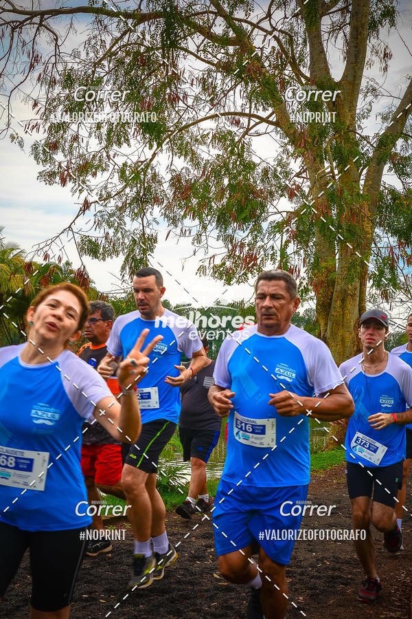 Acquista le foto dell'eventoNOVEMBRO AZUL in Fotop