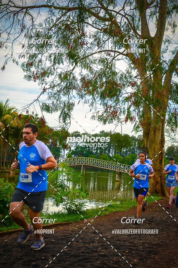 Acquista le foto dell'eventoNOVEMBRO AZUL in Fotop