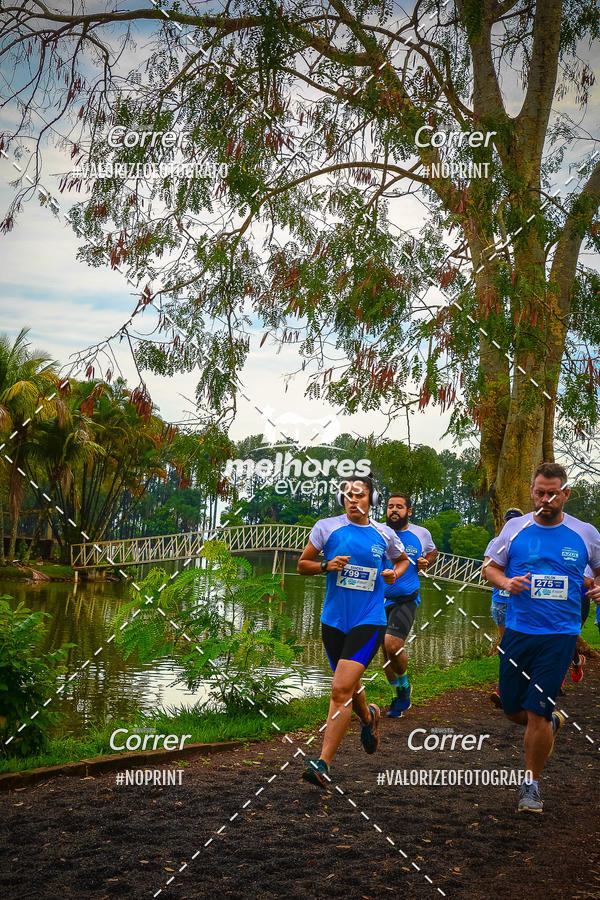 Acquista le foto dell'eventoNOVEMBRO AZUL in Fotop