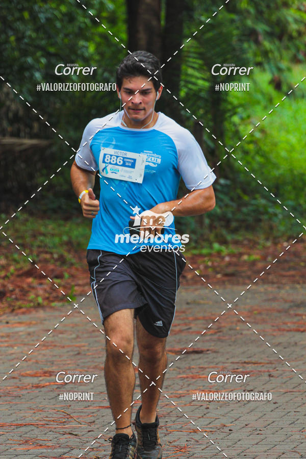 Acquista le foto dell'eventoNOVEMBRO AZUL in Fotop