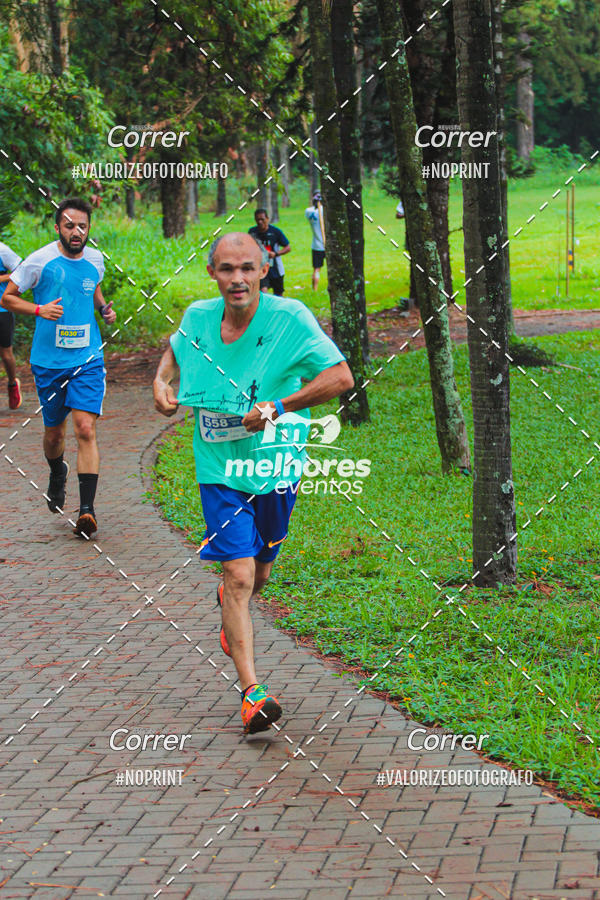 Acquista le foto dell'eventoNOVEMBRO AZUL in Fotop