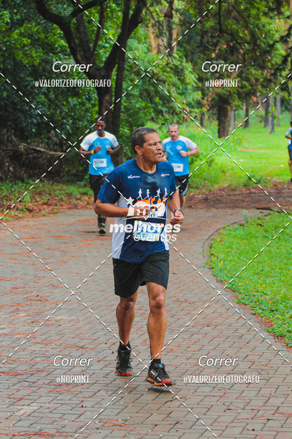 Acquista le foto dell'eventoNOVEMBRO AZUL in Fotop