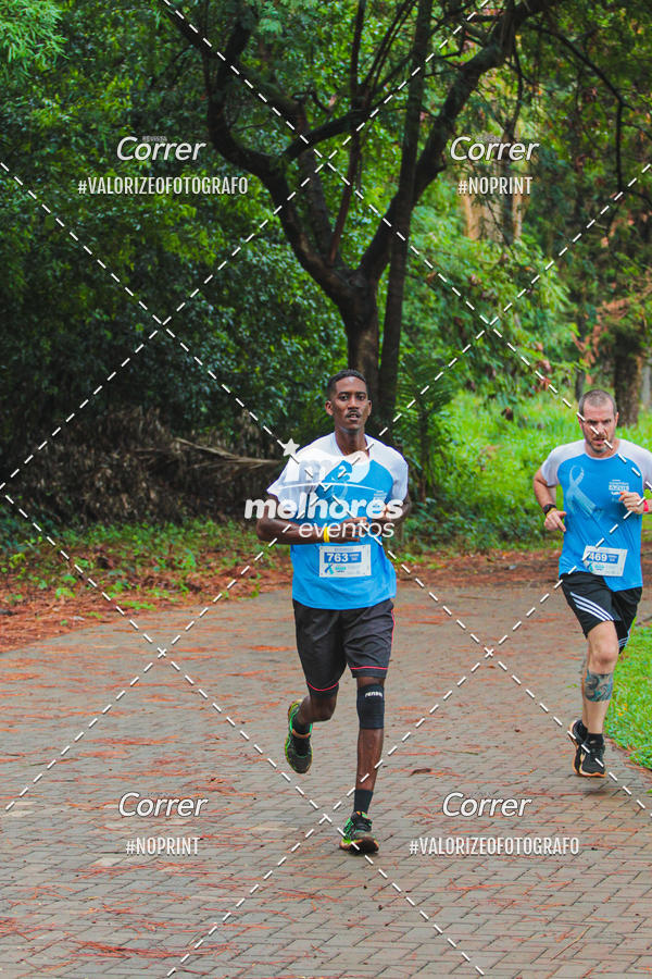 Acquista le foto dell'eventoNOVEMBRO AZUL in Fotop