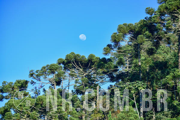 Buy your photos of the eventNR2 - Friendship 2 21 a 26/05/19 on Fotop