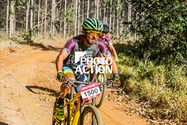 Buy your photos of the event16 Edio Maratona 100Km Canaviais on Fotop
