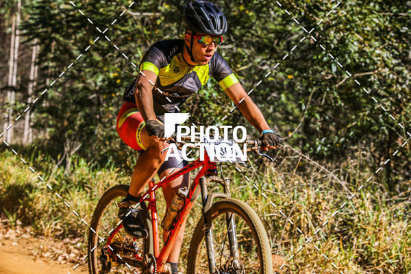Buy your photos of the event16 Edio Maratona 100Km Canaviais on Fotop