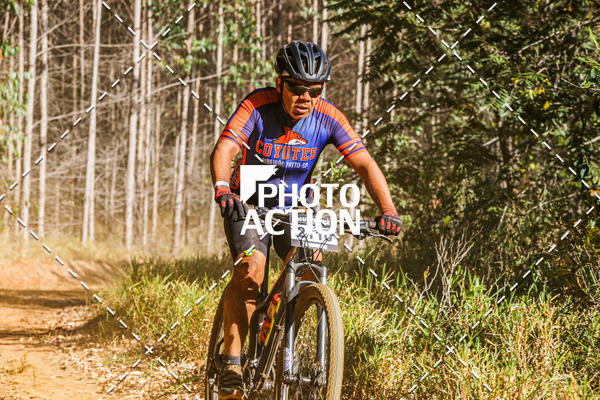Buy your photos of the event16 Edio Maratona 100Km Canaviais on Fotop