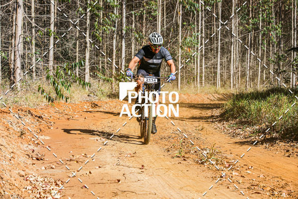 Buy your photos of the event16 Edio Maratona 100Km Canaviais on Fotop
