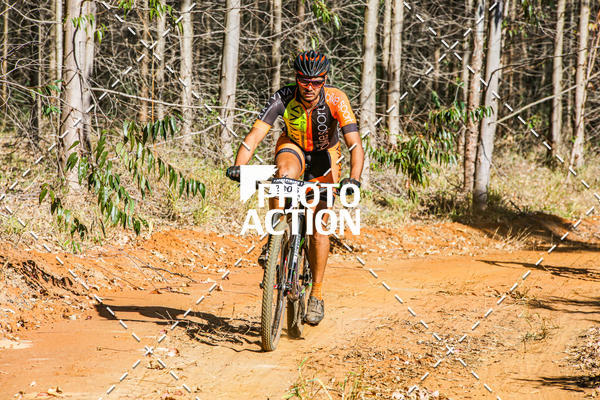 Buy your photos of the event16 Edio Maratona 100Km Canaviais on Fotop