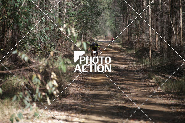 Buy your photos of the event16 Edio Maratona 100Km Canaviais on Fotop