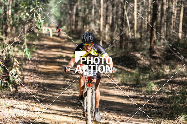 Buy your photos of the event16 Edio Maratona 100Km Canaviais on Fotop