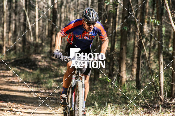 Buy your photos of the event16 Edio Maratona 100Km Canaviais on Fotop