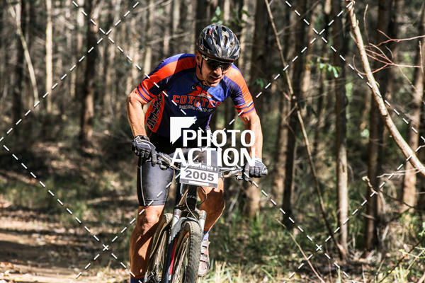 Buy your photos of the event16 Edio Maratona 100Km Canaviais on Fotop