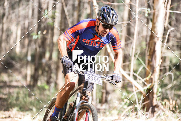 Buy your photos of the event16 Edio Maratona 100Km Canaviais on Fotop