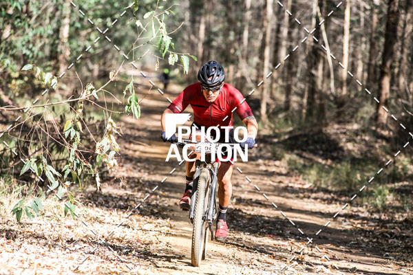 Buy your photos of the event16 Edio Maratona 100Km Canaviais on Fotop