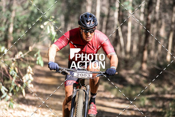 Buy your photos of the event16 Edio Maratona 100Km Canaviais on Fotop