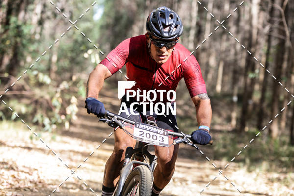 Buy your photos of the event16 Edio Maratona 100Km Canaviais on Fotop