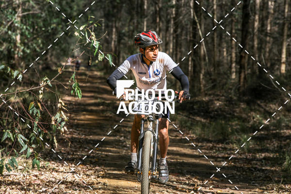 Buy your photos of the event16 Edio Maratona 100Km Canaviais on Fotop