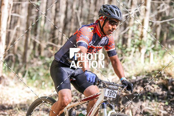Buy your photos of the event16 Edio Maratona 100Km Canaviais on Fotop