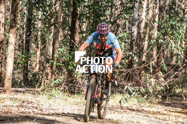 Buy your photos of the event16 Edio Maratona 100Km Canaviais on Fotop