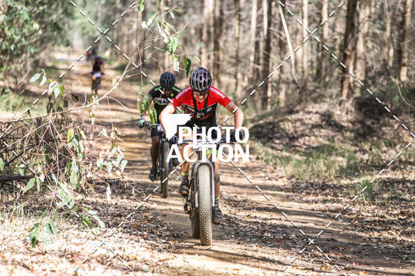 Buy your photos of the event16 Edio Maratona 100Km Canaviais on Fotop