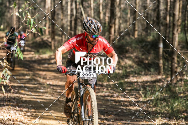 Buy your photos of the event16 Edio Maratona 100Km Canaviais on Fotop