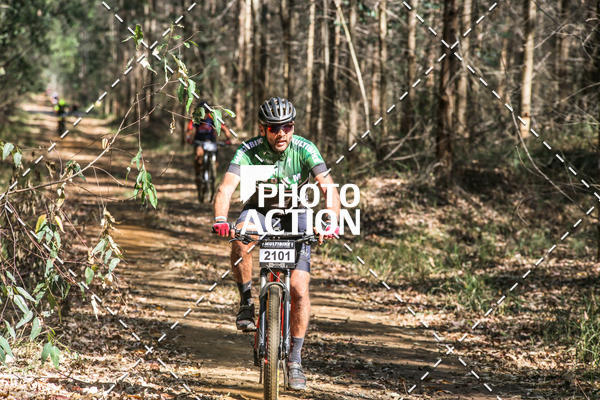Buy your photos of the event16 Edio Maratona 100Km Canaviais on Fotop