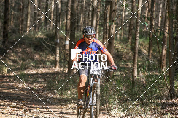 Buy your photos of the event16 Edio Maratona 100Km Canaviais on Fotop