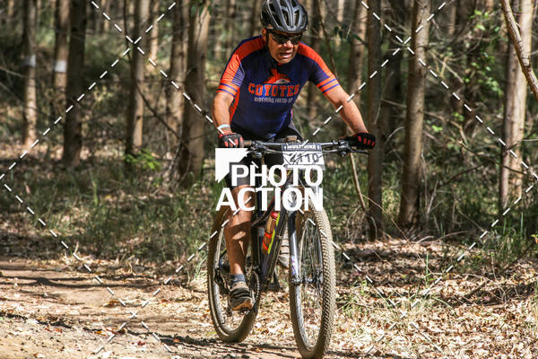 Buy your photos of the event16 Edio Maratona 100Km Canaviais on Fotop