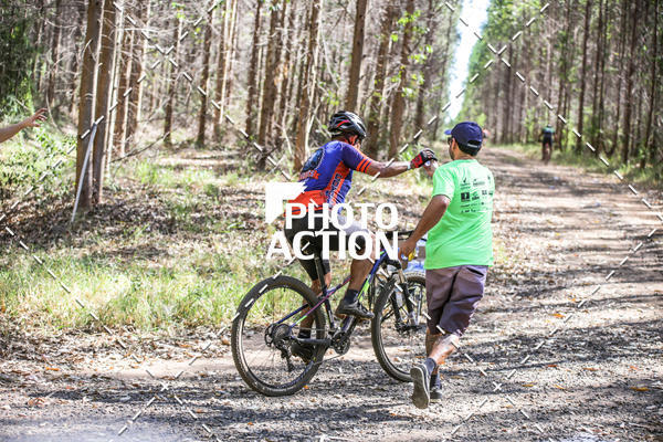 Buy your photos of the event16 Edio Maratona 100Km Canaviais on Fotop
