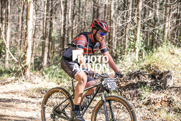 Buy your photos of the event16 Edio Maratona 100Km Canaviais on Fotop