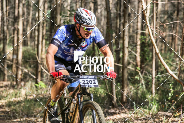 Buy your photos of the event16 Edio Maratona 100Km Canaviais on Fotop
