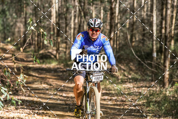 Buy your photos of the event16 Edio Maratona 100Km Canaviais on Fotop