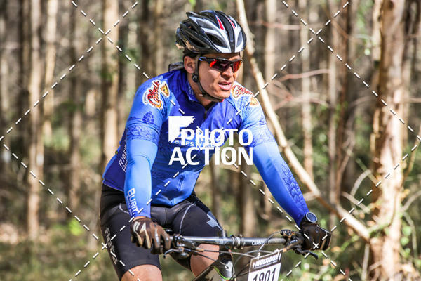 Buy your photos of the event16 Edio Maratona 100Km Canaviais on Fotop