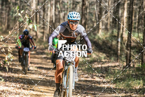 Buy your photos of the event16 Edio Maratona 100Km Canaviais on Fotop
