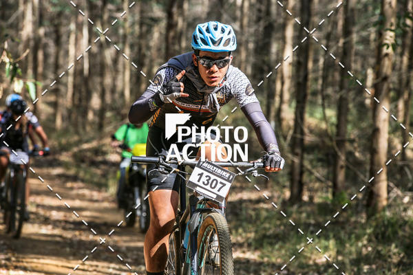 Buy your photos of the event16 Edio Maratona 100Km Canaviais on Fotop