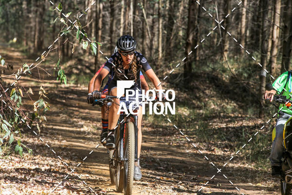 Buy your photos of the event16 Edio Maratona 100Km Canaviais on Fotop