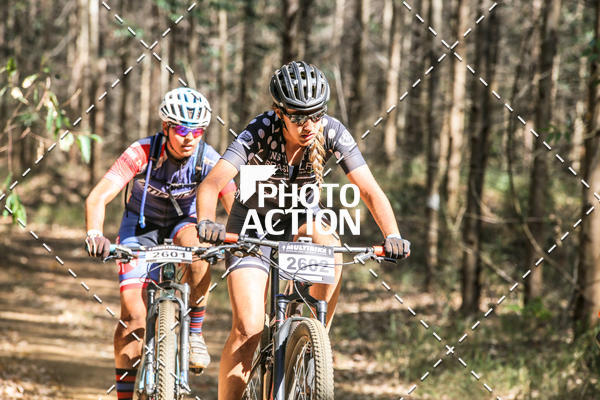 Buy your photos of the event16 Edio Maratona 100Km Canaviais on Fotop