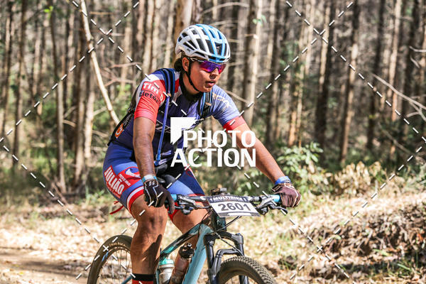 Buy your photos of the event16 Edio Maratona 100Km Canaviais on Fotop