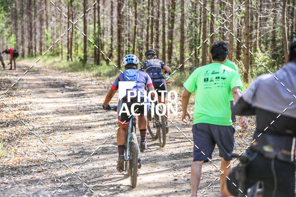 Buy your photos of the event16 Edio Maratona 100Km Canaviais on Fotop