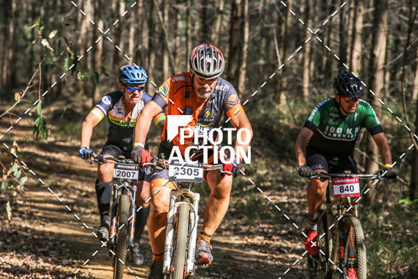 Buy your photos of the event16 Edio Maratona 100Km Canaviais on Fotop