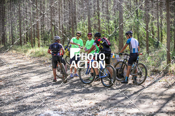 Buy your photos of the event16 Edio Maratona 100Km Canaviais on Fotop