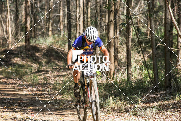 Buy your photos of the event16 Edio Maratona 100Km Canaviais on Fotop