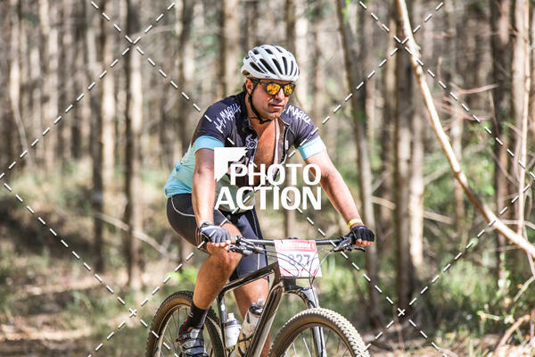 Buy your photos of the event16 Edio Maratona 100Km Canaviais on Fotop