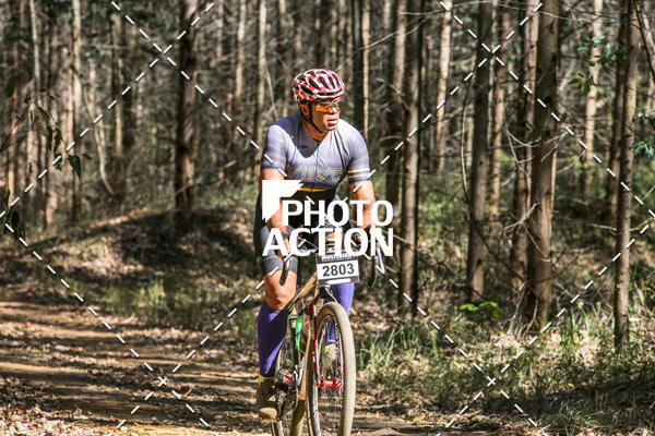 Buy your photos of the event16 Edio Maratona 100Km Canaviais on Fotop