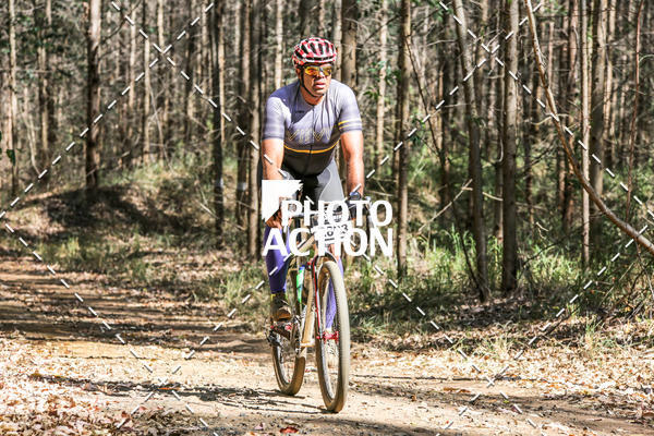Buy your photos of the event16 Edio Maratona 100Km Canaviais on Fotop