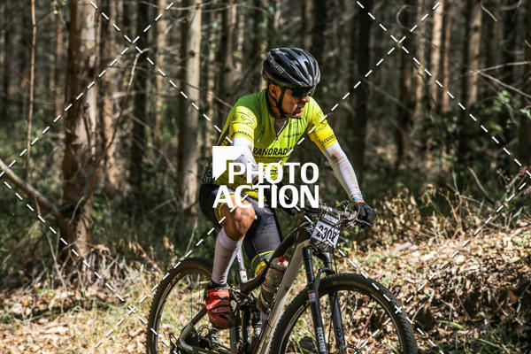 Buy your photos of the event16 Edio Maratona 100Km Canaviais on Fotop