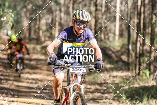 Buy your photos of the event16 Edio Maratona 100Km Canaviais on Fotop